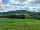 Działka budowlana Rupniów gm. Limanowa - 3