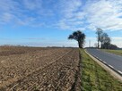 Działka rolna Lusówko gm. Tarnowo Podgórne, - 4