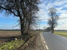 Działka rolna Lusówko gm. Tarnowo Podgórne, - 10