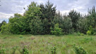 Działka inwestycyjna Myrcha gm. Wiśniew, - 5