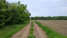 Działka inwestycyjna Myrcha gm. Wiśniew, - 10