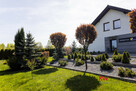 Dom Mikołów, Ludwika Spyry - 3