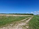 Działka budowlana Koszalin, Julków Jamneńskich - 2
