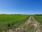 Działka budowlana Koszalin, Julków Jamneńskich - 2