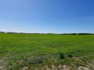 Działka budowlana Koszalin, Julków Jamneńskich - 3
