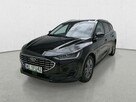 Ford Focus - 3