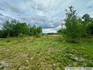 Działka inwestycyjna, 2,88 ha, Straszęcin, Żyraków - 4