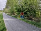 Działka budowlana 6000 m2 w okolicy Szczawina - 8