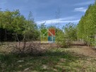 Działka budowlana 6000 m2 w okolicy Szczawina - 5