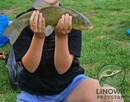 Linowa Przystań Wójcin Staw & Pole Biwakowe - 9