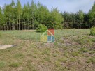 Działka budowlana 6000 m2 w okolicy Szczawina - 6