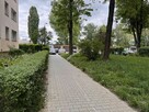2 POKOJE DO REMONTU – AZORY | Kraków, ul. Palacha - 3