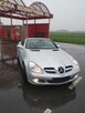 Mercedes SLK na sprzedaż - 1