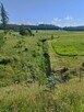 Pielęgnacja zieleni, koszenie trawy, prace ogrodnicze - 6