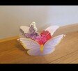 Box - motyl kwiatowy - 2