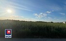 Działka budowlana 20,4 ar w miejscowości Witkówek - 4