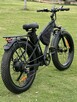 Wynajem roweru elektrycznego 200 zł tygodniowo - 2