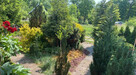 Sprzedam działkę ROD na ROD Falubaz, Zielona Góra - 280m² - 4