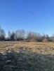Działka o pow. 25 000 m² pod zabudowę i rekreację. - 2