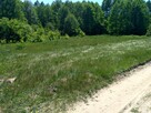 Działka o pow. 25 000 m² pod zabudowę i rekreację. - 6