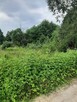 Działka o pow. 25 000 m² pod zabudowę i rekreację. - 8
