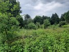 Działka o pow. 25 000 m² pod zabudowę i rekreację. - 9