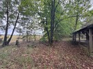 Działka letniskowa z domkiem w lesie blisko rzeki - 5