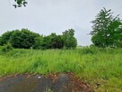Działka w Kostomłotach niedaleko Środy Śląskiej - 1