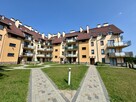 Mieszkanie Gorzów wielkopolski śródmieście - 1