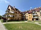 Mieszkanie Gorzów wielkopolski śródmieście - 2