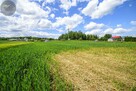 Działka budowlana Wierzbna gm. Żarów - 6