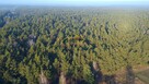 Budowlana,pow.900m²,jez. Zegrzyńskie-5km, Media - 8