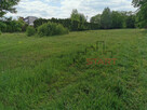 Działka budowlana Kałęczyn gm. Grodzisk Mazowiecki, - 2