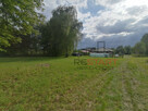 Działka budowlana Budy-Grzybek gm. Jaktorów, - 4