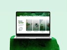 Profesjonalne strony internetowe - 1