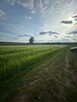 Brzeźno ul. Leśna działka budowlana na sprzedaż - 5