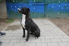 Modelina - 4