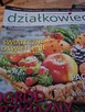 Czasopismo DZIAŁKOWIEC - 1