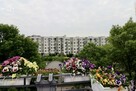 Mieszkanie Lublin, Nałkowskich - 14