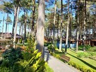 Ośrodek wypoczynkowy na sprzedaż- gotowy biznes - 8