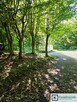 Działka rolna Płowce gm. Sanok, - 9