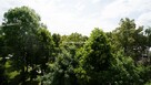 Mieszkanie Ktaków Nowa Huta, Mistrzejowice, Os. Złotego Wieku - 5