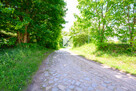 Działki budowlane w Lubniewicach, od 1000 mkw - 5