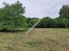 Działka budowlana, uzbrojona STARA WIEŚ - 5