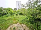 Okolice ul. Okulickiego / Inwestycja /Ogród - 6