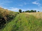 Działka leśna Sitnica gm. Biecz - 13
