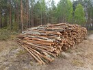 Drewno opałowe - 3