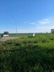 Działka nad jeziorem Tarnobrzeskim - 5