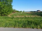 Działka nad jeziorem Tarnobrzeskim - 8