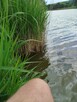 W celu, do uzgodnienia.. - 3